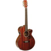 Tanglewood TW47E Tanglewood TW47E