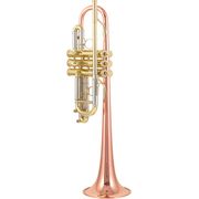 Kanstul ZKT 1510 C-Trumpet Kanstul ZKT 1510 C-Trumpet
