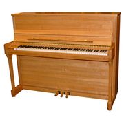 Wilh. Steinberg IQ 16 Alder Massive Wilh. Steinberg IQ 16 Alder Massive