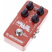 TC Electronic Hall of Fame TC Electronic Hall of Fame