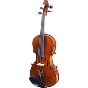 Stagg VN-4/4 HG Violin Set Stagg VN-4/4 HG Violin Set