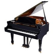 Schiedmayer SGP 186 E/P Grand Piano Schiedmayer SGP 186 E/P Grand Piano