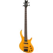 Epiphone Toby Deluxe-IV Bass TAS Epiphone Toby Deluxe-IV Bass TAS
