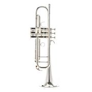 Warburton Bb- Trumpet Warburton Bb- Trumpet