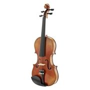 Roth & Junius RJVAV-4 Antique Varnish Violin Roth & Junius RJVAV-4 Antique Varnish Violin