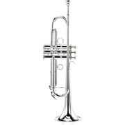 Carol Brass CTR-5000L-YST-Bb-S B-Stock Carol Brass CTR-5000L-YST-Bb-S B-Stock