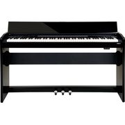 Roland F-120R PE Roland F-120R PE