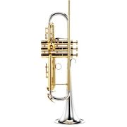 Adams A6 NS-L Bb- Trumpet B-Stock Adams A6 NS-L Bb- Trumpet B-Stock