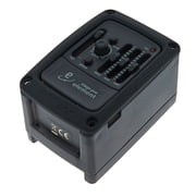 L.R.Baggs Stagepro Element B-Stock L.R.Baggs Stagepro Element B-Stock