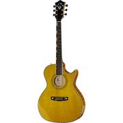 Guild Doyle Dykes Signature Guild Doyle Dykes Signature