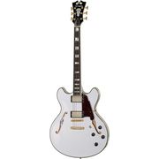 DAngelico EX-DC WH DAngelico EX-DC WH