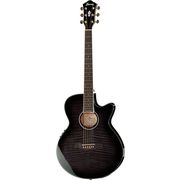 Ibanez AEG24II-TGB Ibanez AEG24II-TGB