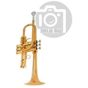 B&S 3116/2-S Eb/D-Trumpet B&S 3116/2-S Eb/D-Trumpet