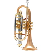 Carol Brass CCR-6882T-GSS-SLB B-Stock Carol Brass CCR-6882T-GSS-SLB B-Stock