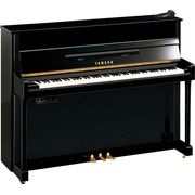Yamaha b2 SG2 PE B-Stock Yamaha b2 SG2 PE B-Stock