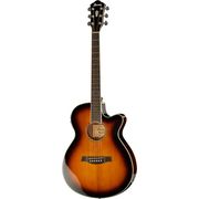 Ibanez AEG10II-VS B-Stock Ibanez AEG10II-VS B-Stock
