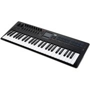 Korg taktile 49 Korg taktile 49