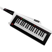 Korg RK-100S White Korg RK-100S White
