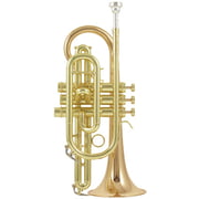 Carol Brass CCR-3880-GSS-Bb-L B-Stock Carol Brass CCR-3880-GSS-Bb-L B-Stock