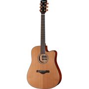 Ibanez AW134CE-LG Ibanez AW134CE-LG
