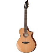 Breedlove Pursuit Nylon B-Stock Breedlove Pursuit Nylon B-Stock