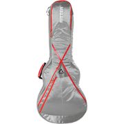 Ritter RGP8 Semi Hollow Guitar SGR Ritter RGP8 Semi Hollow Guitar SGR