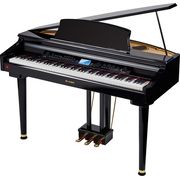 Thomann DP-495 GP BP Thomann DP-495 GP BP