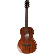 Breedlove Passport Parlor MH Breedlove Passport Parlor MH