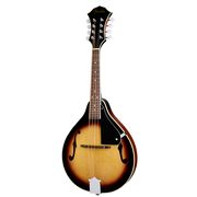 Fender Concert Mandolin Starter Pack Fender Concert Mandolin Starter Pack