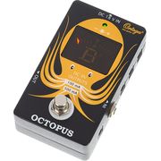 Ortega Octopus Ortega Octopus