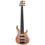 Human Base BaseX 6 Figured Maple Human Base BaseX 6 Figured Maple