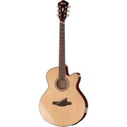 Ibanez AELFF10-NT Multiscale Ibanez AELFF10-NT Multiscale