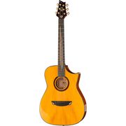 Cort Frank Gambale Signature Cort Frank Gambale Signature