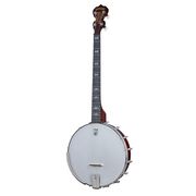 Deering Artisan Goodtime 19 Tenor Deering Artisan Goodtime 19 Tenor