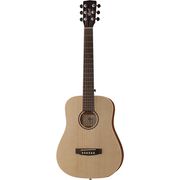 Cort Earth Mini Adirondack Cort Earth Mini Adirondack