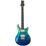 PRS Custom 22 Artist Package BF PRS Custom 22 Artist Package BF