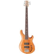 PRS Gary Grainger 5 String HO RW PRS Gary Grainger 5 String HO RW