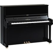 Yamaha SE 122 PE B-Stock Yamaha SE 122 PE B-Stock
