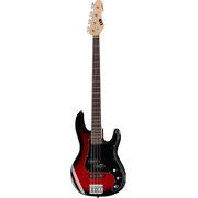 ESP LTD AP-204 BGB ESP LTD AP-204 BGB