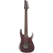 Ibanez DCM100 Dino Cazares LTD Ibanez DCM100 Dino Cazares LTD