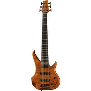 Human Base Max 6 flamed maple Human Base Max 6 flamed maple