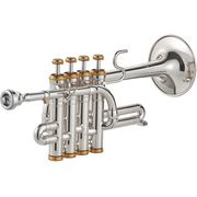 Kühnl & Hoyer Piccolo Silver Kühnl & Hoyer Piccolo Silver