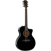 Taylor 214ce-BLK DLX Taylor 214ce-BLK DLX