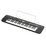 Casio CTK-245 AD Casio CTK-245 AD