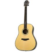 Furch D 25-LR Custom Shop Furch D 25-LR Custom Shop