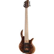 Elrick Gold E-volution 6 BO walnut Elrick Gold E-volution 6 BO walnut
