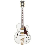 DAngelico EX-DH White GH DAngelico EX-DH White GH