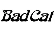 Bad Cat