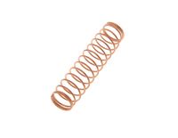 Bach Valve Spring Tpt. Strad. Bach Valve Spring Tpt. Strad.
