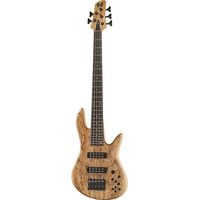 Fodera : Viceroy Cs 5 Dlx Spalted Maple